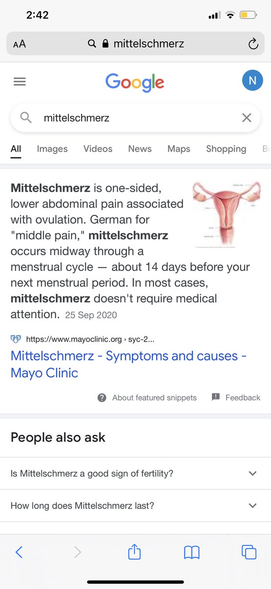 NourShehimi's tweet photo. Discovering new terms every day. When are we never in pain? 😅 https://t.co/ITYJz6YdjC