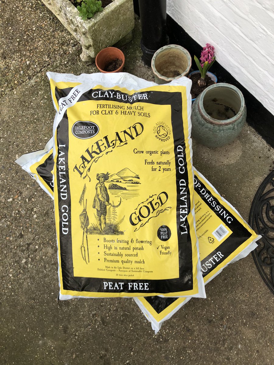 Stage 1 of this years #chaosgarden compost from <a href="/DalefootCompost/">Dalefoot Composts</a> brilliant product with the added benefit of being #peatfree and #organic <a href="/SoilAssociation/">Soil Association</a> #regenathome #vegetables #livelifeontheveg #agroecology 🥕🌽🪱🐌 #beneficials #ukgrown