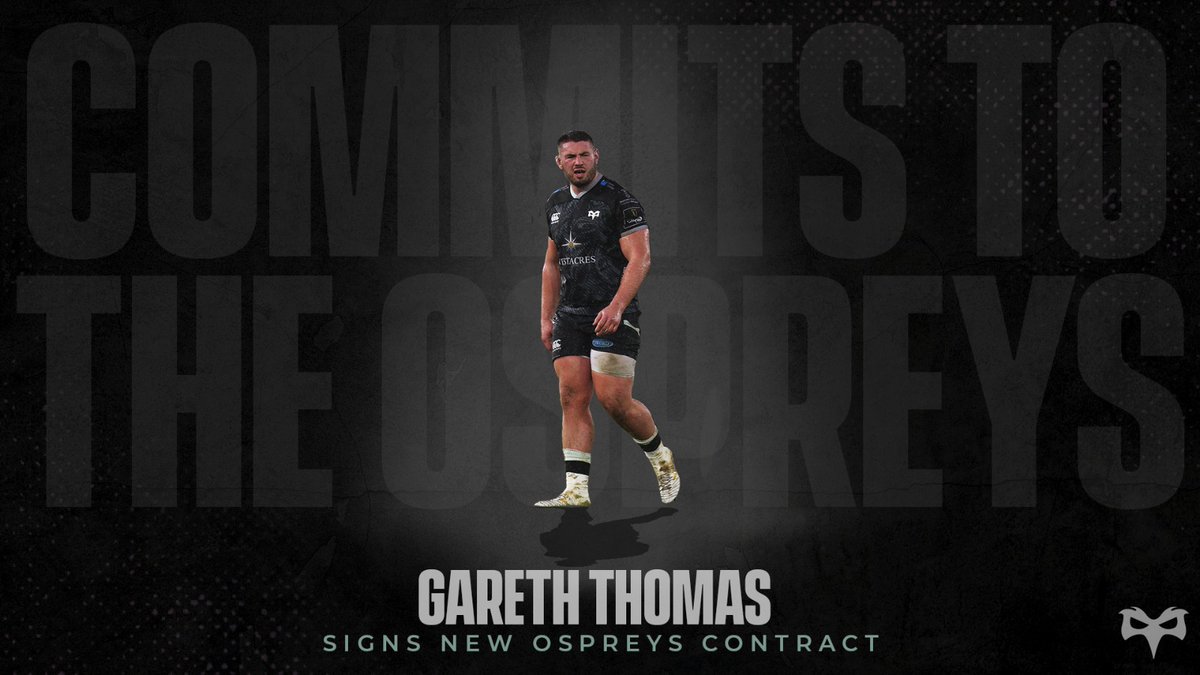 Ospreys tweet media