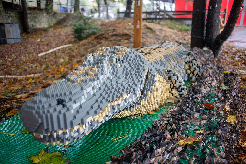 Have you ever been this close and personal with an alligator before? We wouldn't recommend it with a real one - luckily our 14,550 brick model from BRICKLIVE Animal Paradise doesn't bite! #BRICKLIVE #LVCG