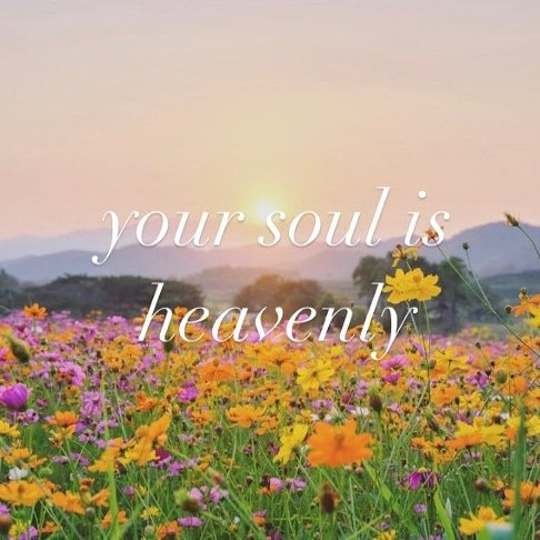 #QueerEmpowerment: Your soul is heavenly. Being LGBTQ+ does not limit your spiritual potential. Your queerness can shape your connection to the universe in beautiful and liberating ways. You are a good person worthy of spiritual fulfilment. 
#lgbt #queer #positiveaffirmations