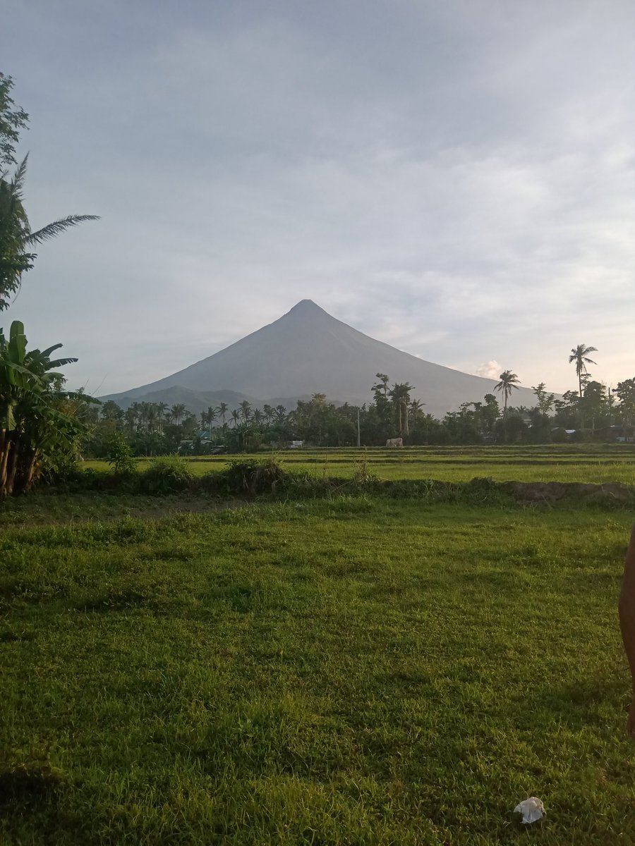 WondergirlW's tweet photo. Good evening po...
Kumusta araw niyo..
Ganda ng mayon kanina..😍😍😍
https://t.co/TS8oKlPAEv
#BitcoinCash https://t.co/xk4IlekG7e