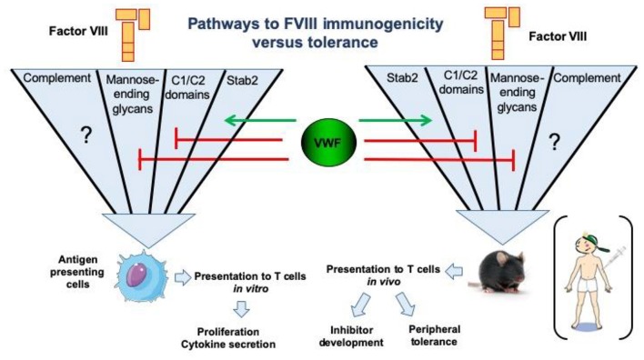 Jan Voorberg tweet media