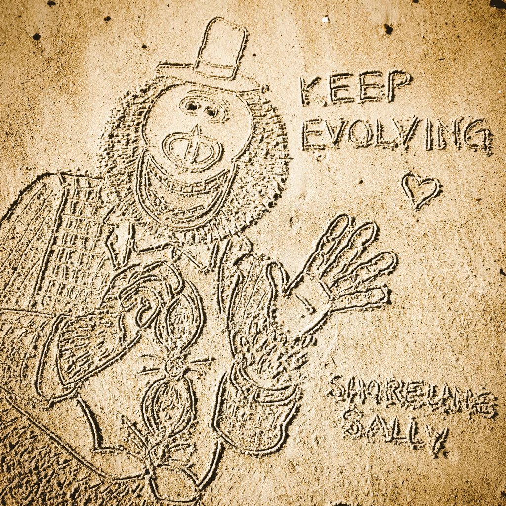 DigiDaughter's tweet photo. Keep Evolving 🧡 #MrLink #MissingLink #MrSusanLink #Bigfoot #Yeti #zachgalifianakis #zoesaldana #hughjackman #StephenFry #evolution
💛 #StaySafe #sanddrawing #beachart 🌊🌊🌊 #Lockdown2021 #morale #VitaminSea #Lockdown2020 #comics #cartoons ✍️ #SandBanksy #shorelinesally No.804 https://t.co/mvwv1v90bG