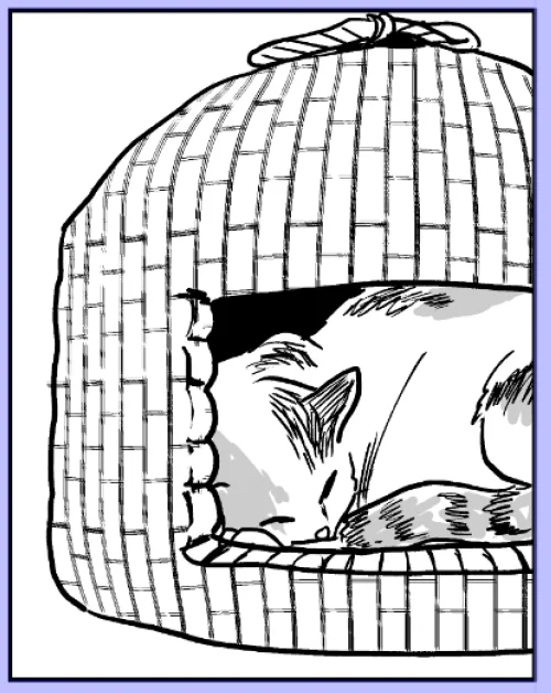猫ちぐら 