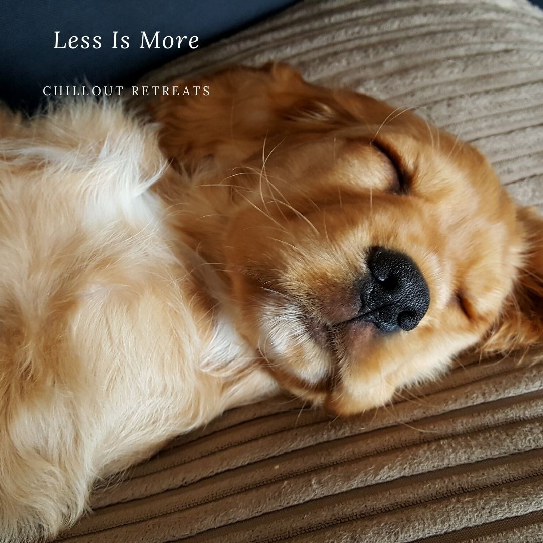chilloutyoga's tweet photo. Invest in Rest - Join us for Mindful Mondays (30 mins of guided meditation or Yoga Nidra) to help you settle into the present moment, and drift off into a deep restorative sleep. https://t.co/FoMKH4m1Yc
