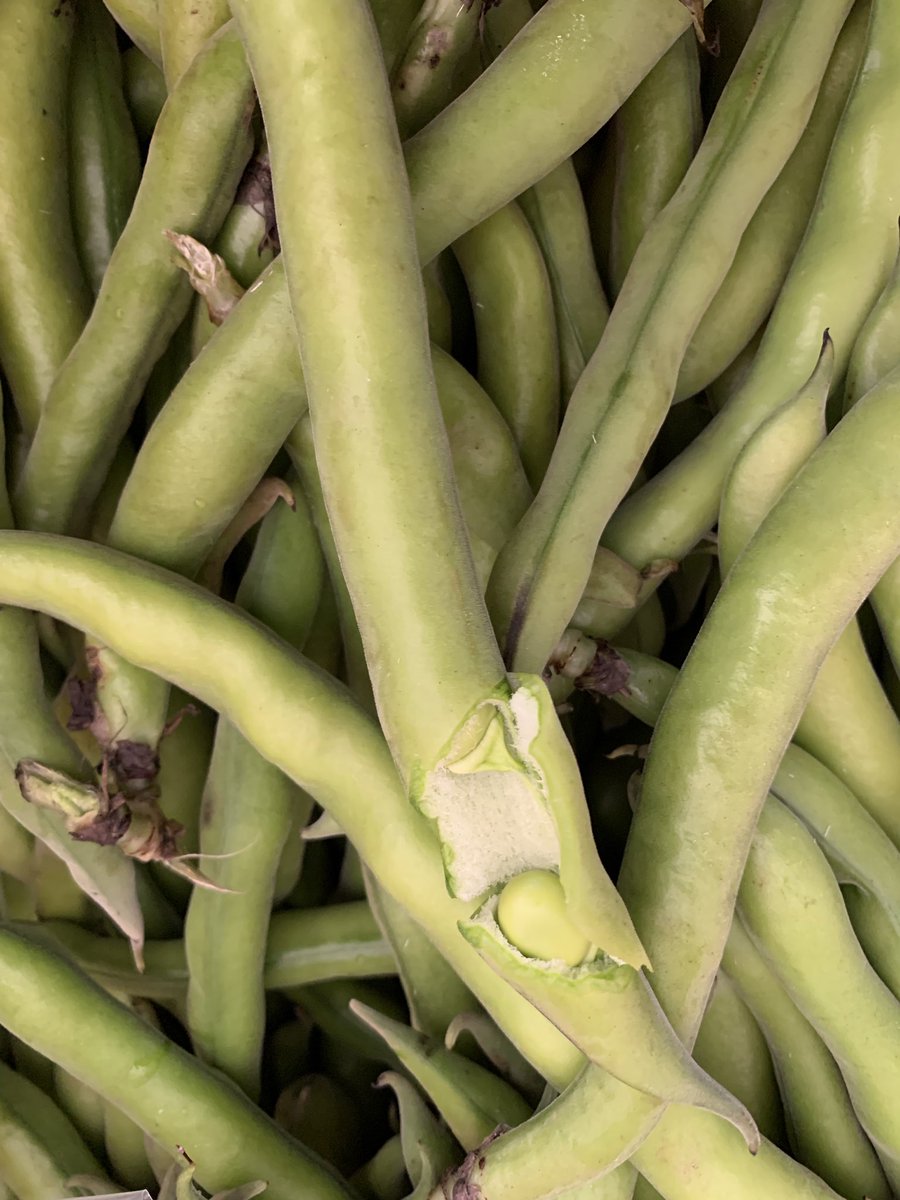 LaRosee_Primeur's tweet photo. On fête l’arrivée du printemps avec les menus de la semaine !
😃😁🌞
Petit pois et feve Français
🔝💯🇫🇷🇫🇷🇫🇷
https://t.co/4Mw7kCLuuJ
#ohmylot #Prayssac #jecuisinemaison #occitanie #saveurscommerce
#les fruits et légumes #occitanie #primeur 👉 https://t.co/AbVki3FHpN https://t.co/99yuMMoecw