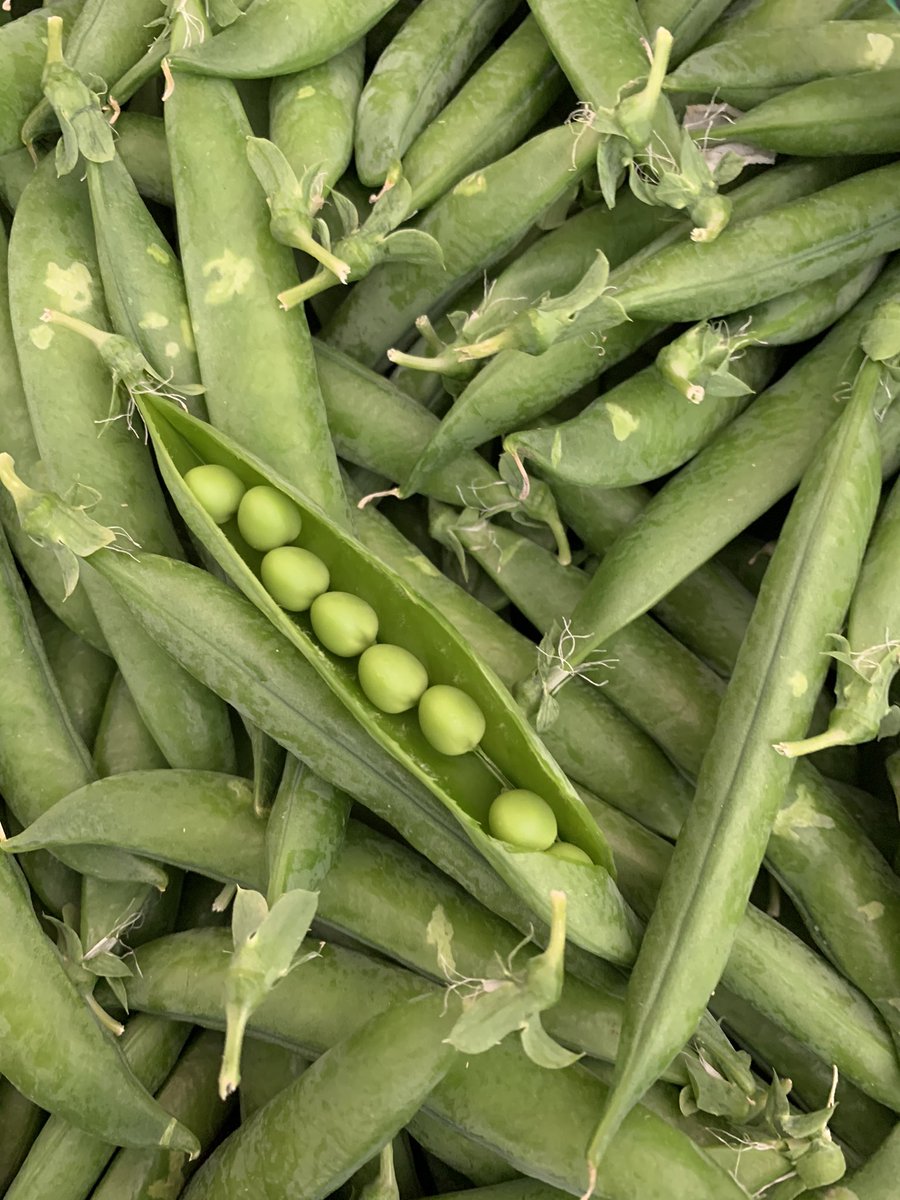 LaRosee_Primeur's tweet photo. On fête l’arrivée du printemps avec les menus de la semaine !
😃😁🌞
Petit pois et feve Français
🔝💯🇫🇷🇫🇷🇫🇷
https://t.co/4Mw7kCLuuJ
#ohmylot #Prayssac #jecuisinemaison #occitanie #saveurscommerce
#les fruits et légumes #occitanie #primeur 👉 https://t.co/AbVki3FHpN https://t.co/99yuMMoecw
