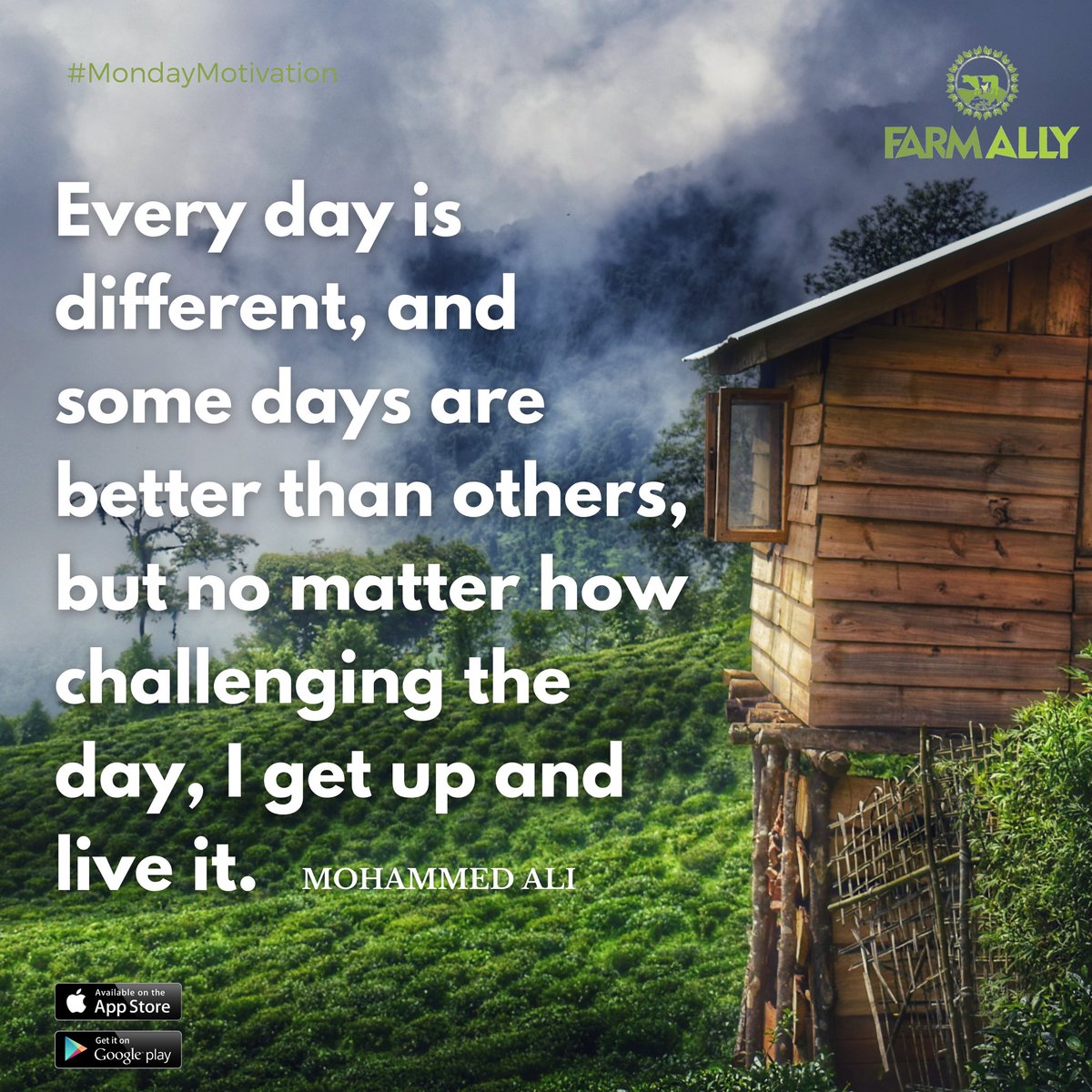 FarmallyL's tweet photo. Let this Monday be a great day for you. 
#FarmAlly https://t.co/oRa7GTwfUV