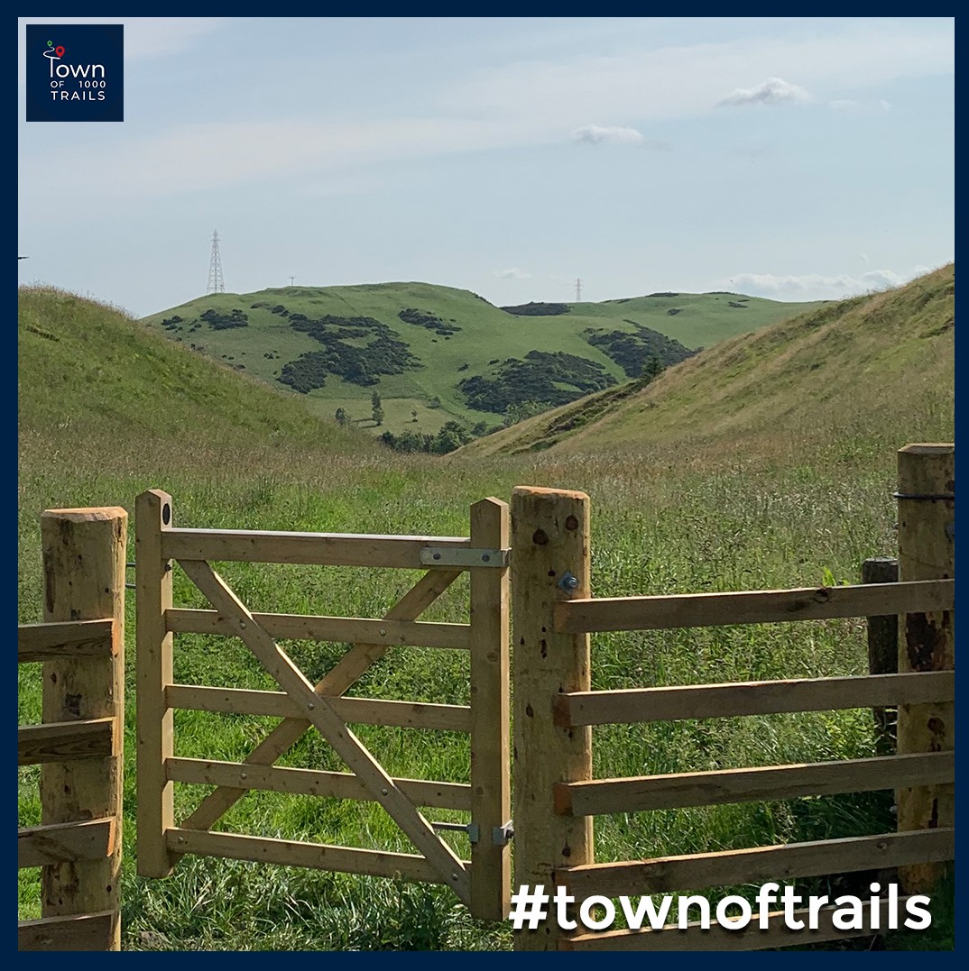 Town of 1000 Trails tweet media