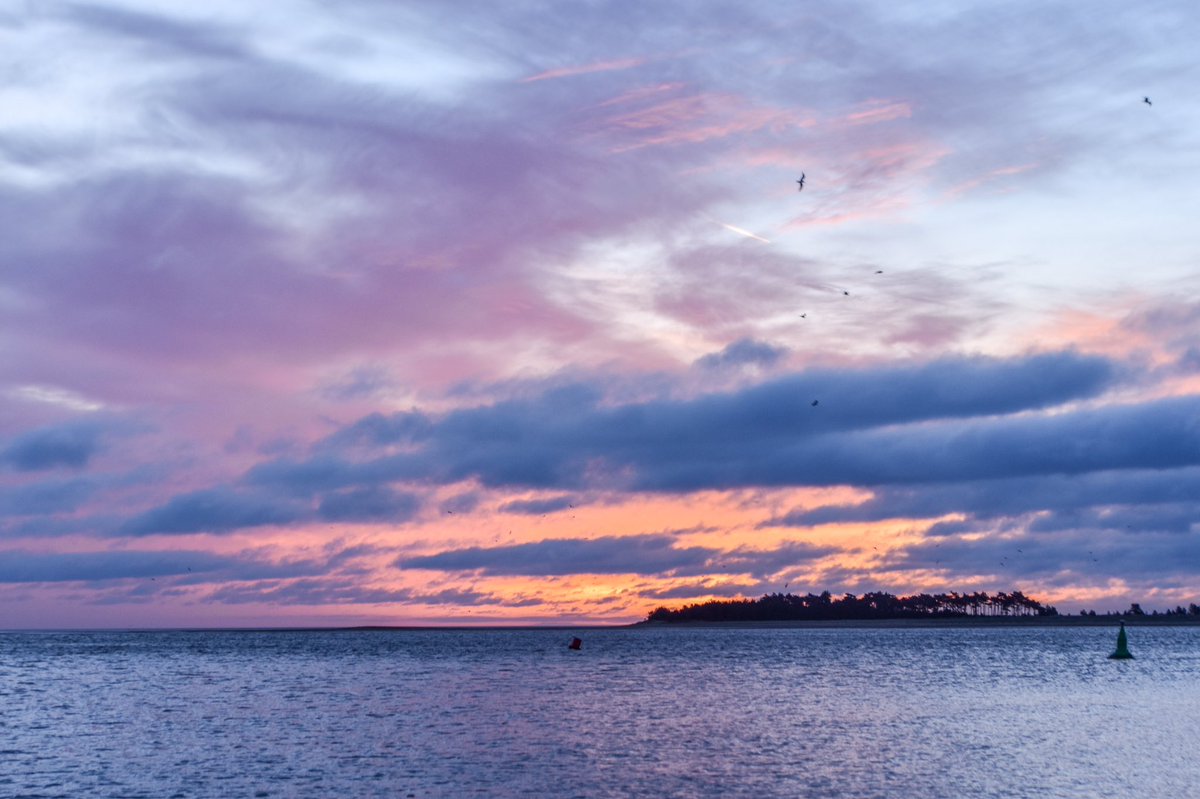 VeronicaJoPo's tweet photo. A really lovely sky this morning at sunrise 🥰 It was a very early start and I was home at 10am. But such wonderful treat 🙏🏻 #sunrise #northnorfolk #easingoflockdown #stormhour #loveUKweather #lovethesea @ChrisPage90 @StormHour @HolkhamEstate @WellsBeachCafe https://t.co/i14f2cbfVe