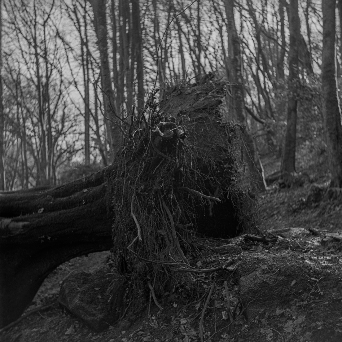Mayn Creative (@mayncreative) on Twitter photo In the final instalment of our six- part series in collaboration with <a href="/falwriting/">Falmouth English & Creative Writing</a>, writer Tillie Holmes and photographer Julia Wrzesinska explore ‘home and isolation’ in their piece, At Home With Solitude. Visit falwriting.com/new-blog/2021/… to read! #MaynCreativexFalWriting In the final instalment of our six- part series in collaboration with <a href="/falwriting/">Falmouth English & Creative Writing</a>, writer Tillie Holmes and photographer Julia Wrzesinska explore ‘home and isolation’ in their piece, At Home With Solitude. Visit falwriting.com/new-blog/2021/… to read! #MaynCreativexFalWriting