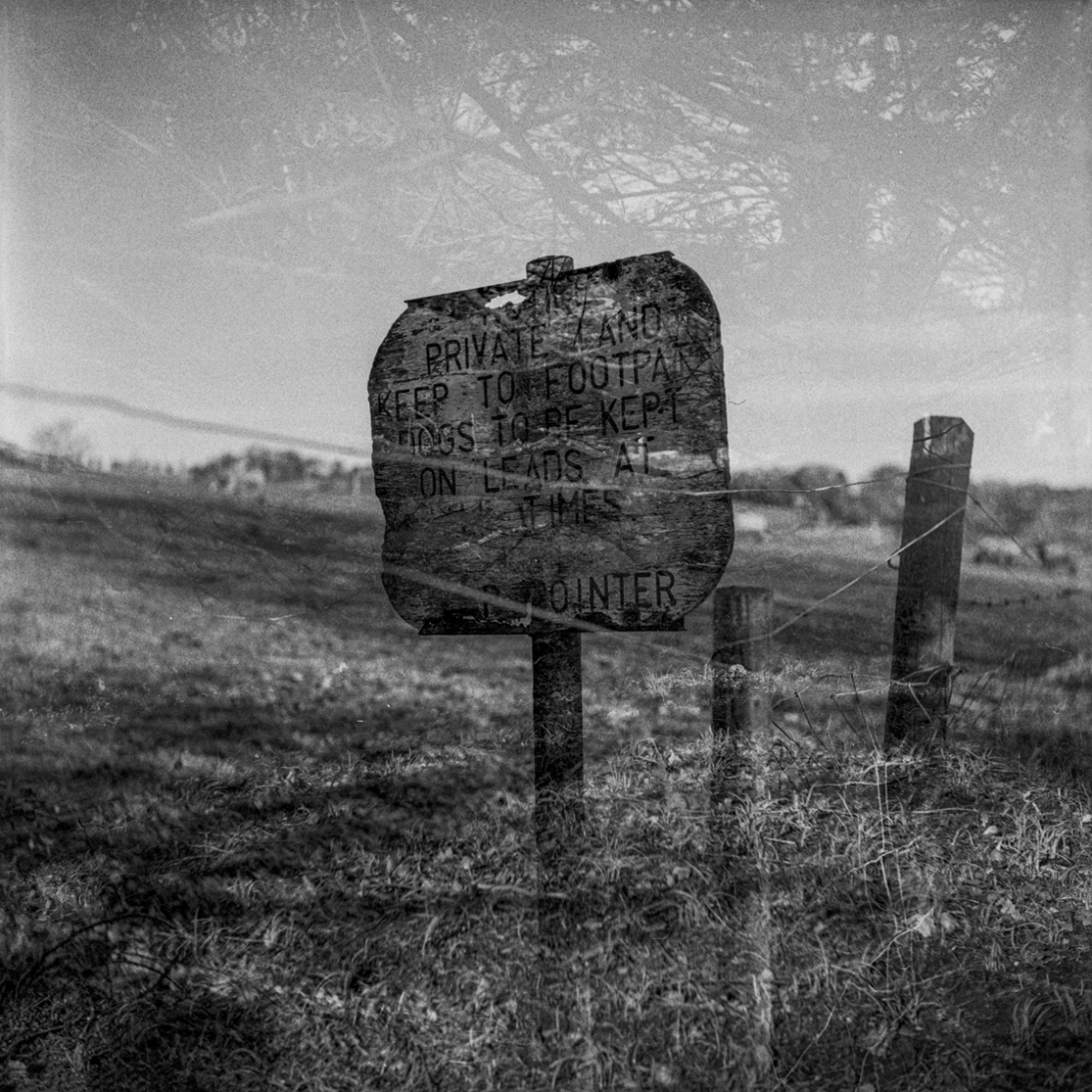 MaynCreative's tweet image. In the final instalment of our six- part series in collaboration with @falwriting, writer Tillie Holmes and photographer Julia Wrzesinska explore  ‘home and isolation’ in their piece, At Home With Solitude. Visit falwriting.com/new-blog/2021/… to read! #MaynCreativexFalWriting