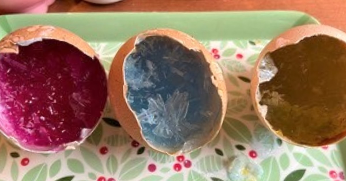 DundeeScienceCentre tweet media