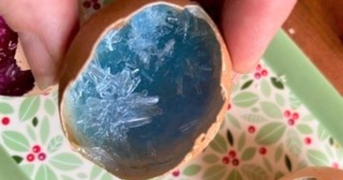 DundeeScienceCentre tweet media