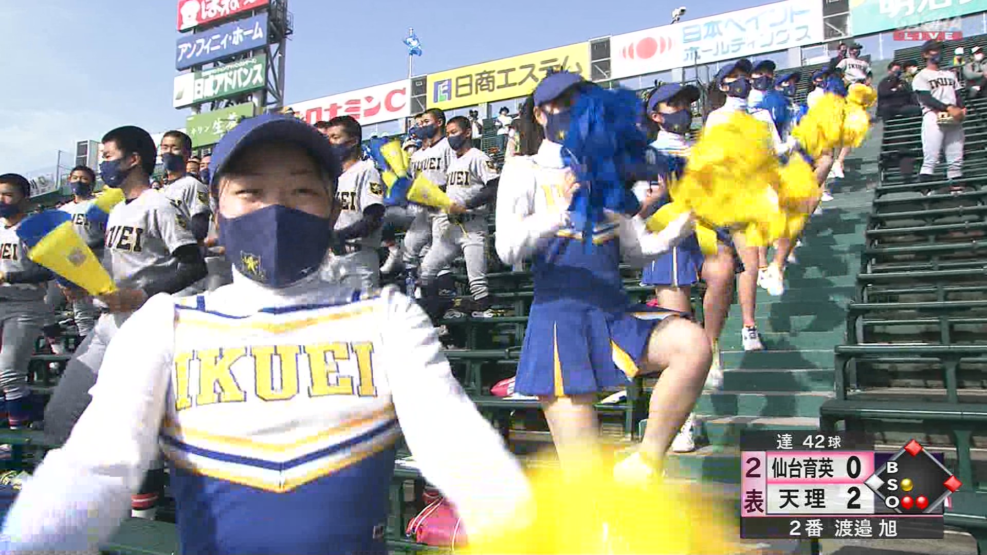 仙台育英チアガール 