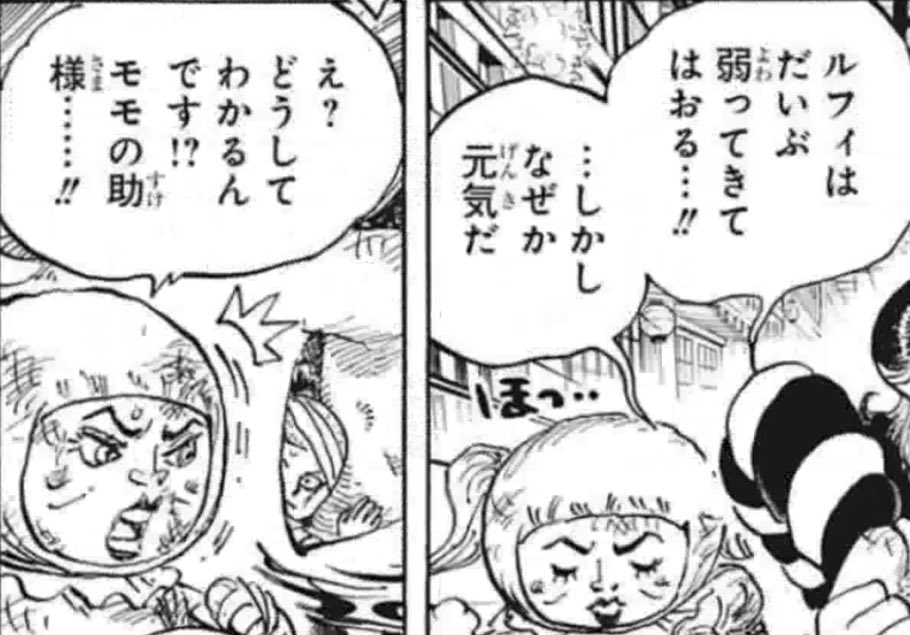 Log ワンピース考察 離れた場所にいるルフィ の現状を まるで目の前で見ているかの様に話すモモの助 これはコビーやアイサみたいな 特殊な見聞色 しかもモモの助はより詳細な情報を得ている まるで象主と視覚共有した時の様な感じだ もしかして見聞色