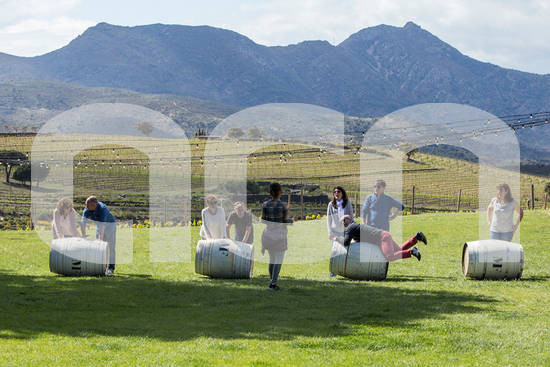 ACNgirona's tweet photo. El #Vívid engega la setena edició amb un 70% de les entrades venudes. El festival d'#enoturisme presenta una seixantena de propostes amb activitats de petit format i a l'aire lliure @EmpordaWine @DOEmporda @DiputacioGirona https://t.co/QFQOXZt639 https://t.co/qHAx0lzyuE
