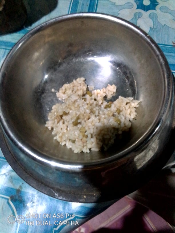 TeacupPh's tweet photo. #My #Hoomans #Rice #with #Kulitis #Leaves (Amaranth) #and #Mongo #Beans #with #lots #of #lovely #sauce. #Very #Yummy #I #got #a #rice #with #some #vegetables #treat #Super #Happy πππΆπΆβ€οΈβ€οΈππππ https://t.co/UEhqgJOJUa