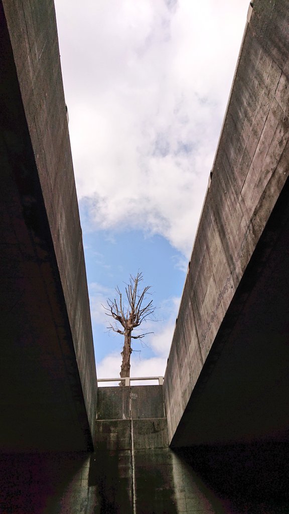 ryugasaki_post's tweet image. 【試験的ツイート】#茨城 県 #龍ケ崎 市内で「こんなところや、こんなもの あった?」なんてことを写真📷️付き&不定期で “ゆる~く”つぶやいてみます。
またよかったら皆さんが、ご存じのそんな場所やそんな物を以下のタグで、つぶやいて頂けると嬉しいです🙇
#こんなところも龍ケ崎