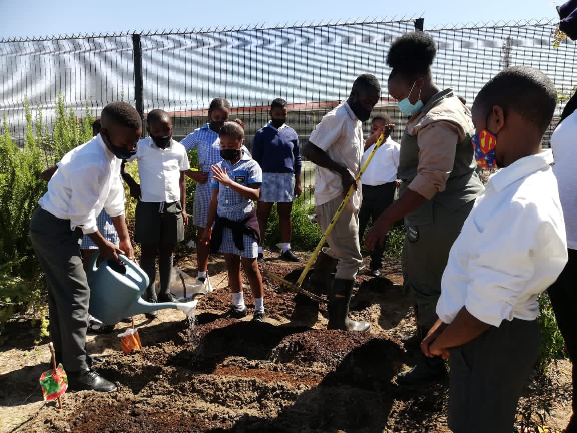 CapeTimesSA's tweet photo. THE CAPE TIMES CELEBRATES 145 YEARS! 🎉
In celebration of our 145th birthday, today we give back by teaching the learners of Sosebenza Primary School how to start their very own vegetable garden! 🥬🍅
#capetimes #birthday #celebration #giveback https://t.co/hFyOzycyVe