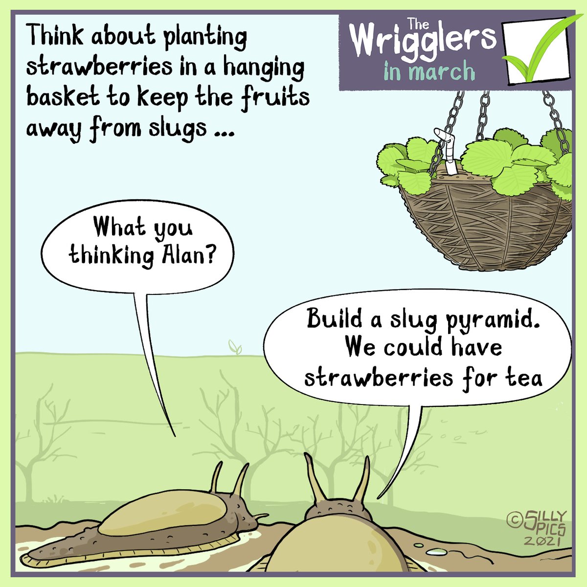 Sillypics1's tweet photo. Think like a slug🤣

More Sillypics #gardening cartoons from the wrigglers
https://t.co/WVyeSejrRx

Make your own #coldframe https://t.co/opaUjR5St4
@GWmagazine @AmateurGardeningMagazine @sillypics1 @The_RHS https://t.co/XGb4ijEO3z