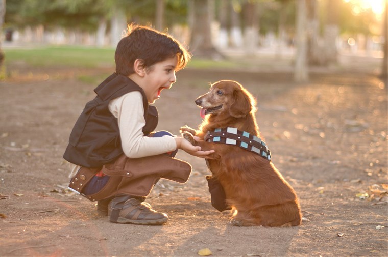WrightBroadcast's tweet photo. This week we are working with assistance dogs charity Dogs for Good and MORE THAN to highlight the positive impact that spending time with a dog can have on the mental health of children, and in particular children with autism #PR #Broadcast #NationalAutismAwarenessWeek https://t.co/DKlcSoNJkU