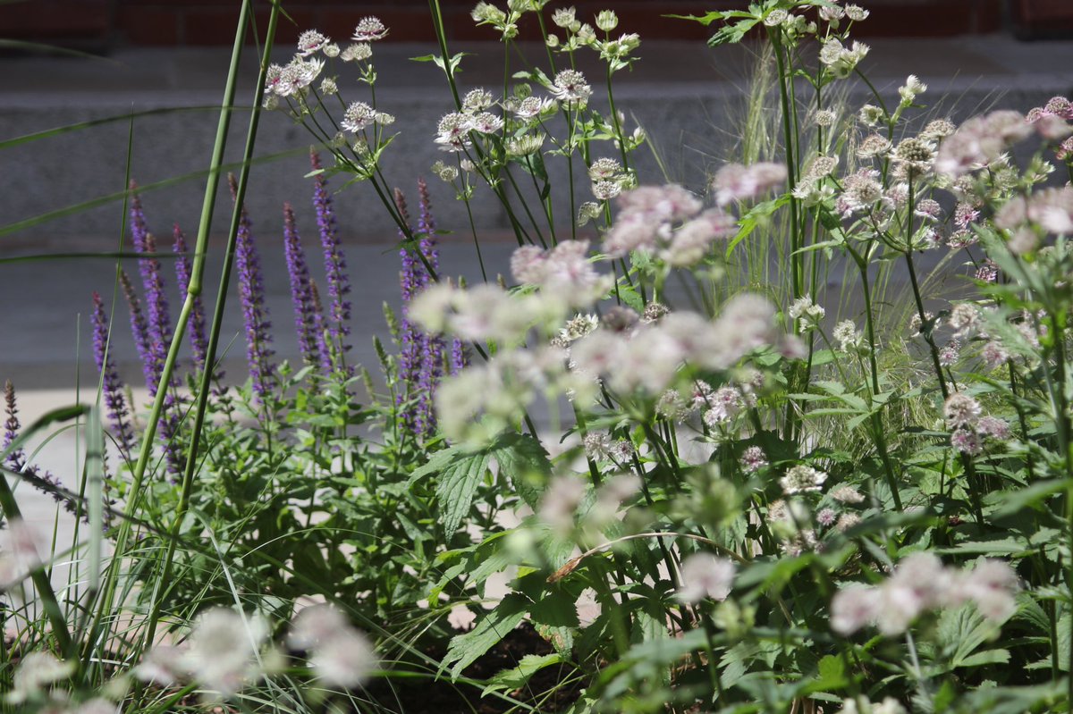 CW_Studio's tweet photo. Are YOUR gardens ready? #fivefriends #didsburygarden https://t.co/YeOF7AND07