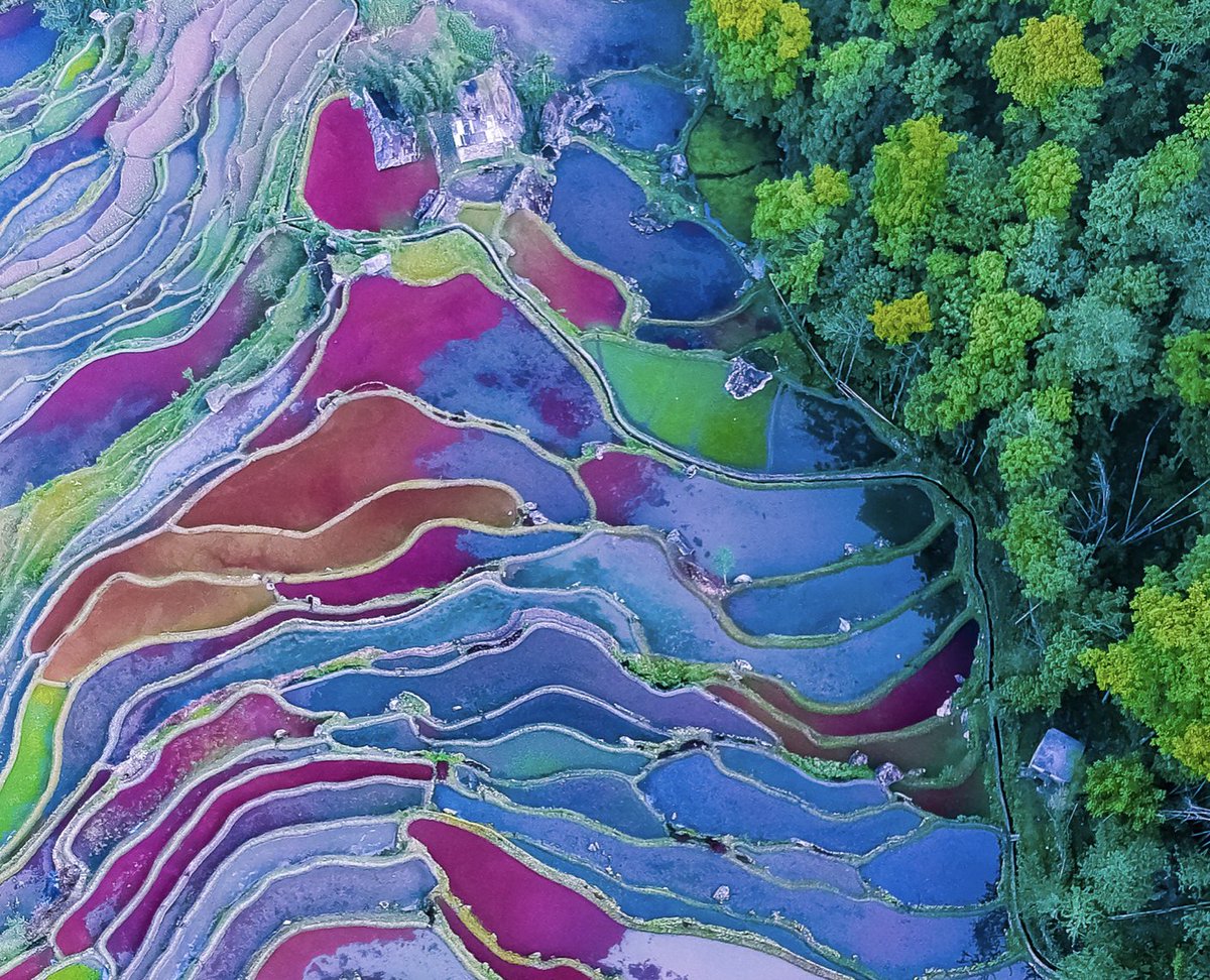 lunanguyenart's tweet photo. Do you love colors? Do you love paintings? Learn to paint with me: https://t.co/A49b1TcWVA
#painters #artlovers #ArtistOnTwitter #lunanguyen #udemycourse #paintingonfabrics #embroiderytechniques #artclass #onlinestudyart #handmade #paints #paintingclass #kunstwerk #udemyclass https://t.co/t4CM49r5Re