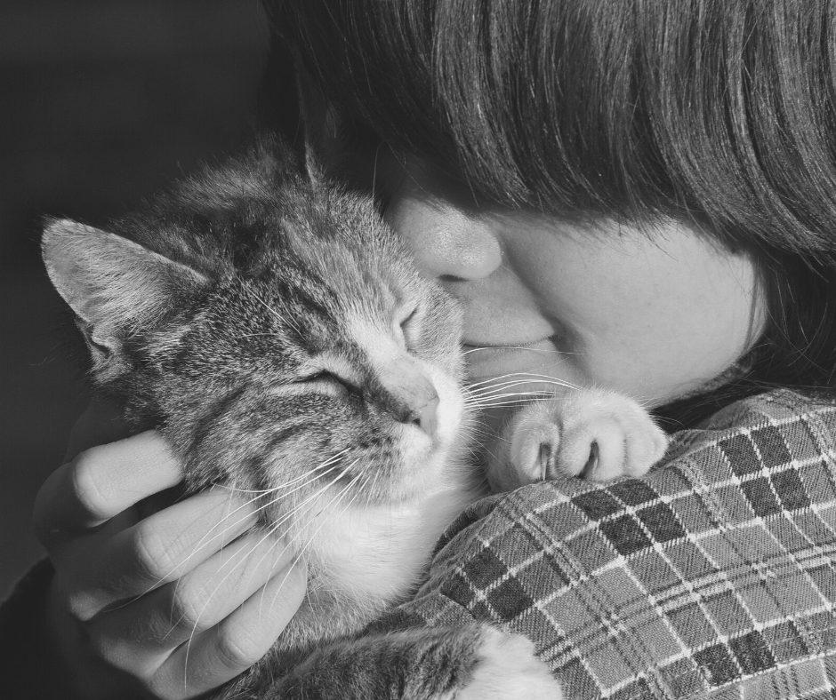 ¿Cómo quieres que te den amor si no sabes amar? // Cesa de pedir, aprende a dar. Vive con una planta y un animal, dándoles cariño. Aprenderás.