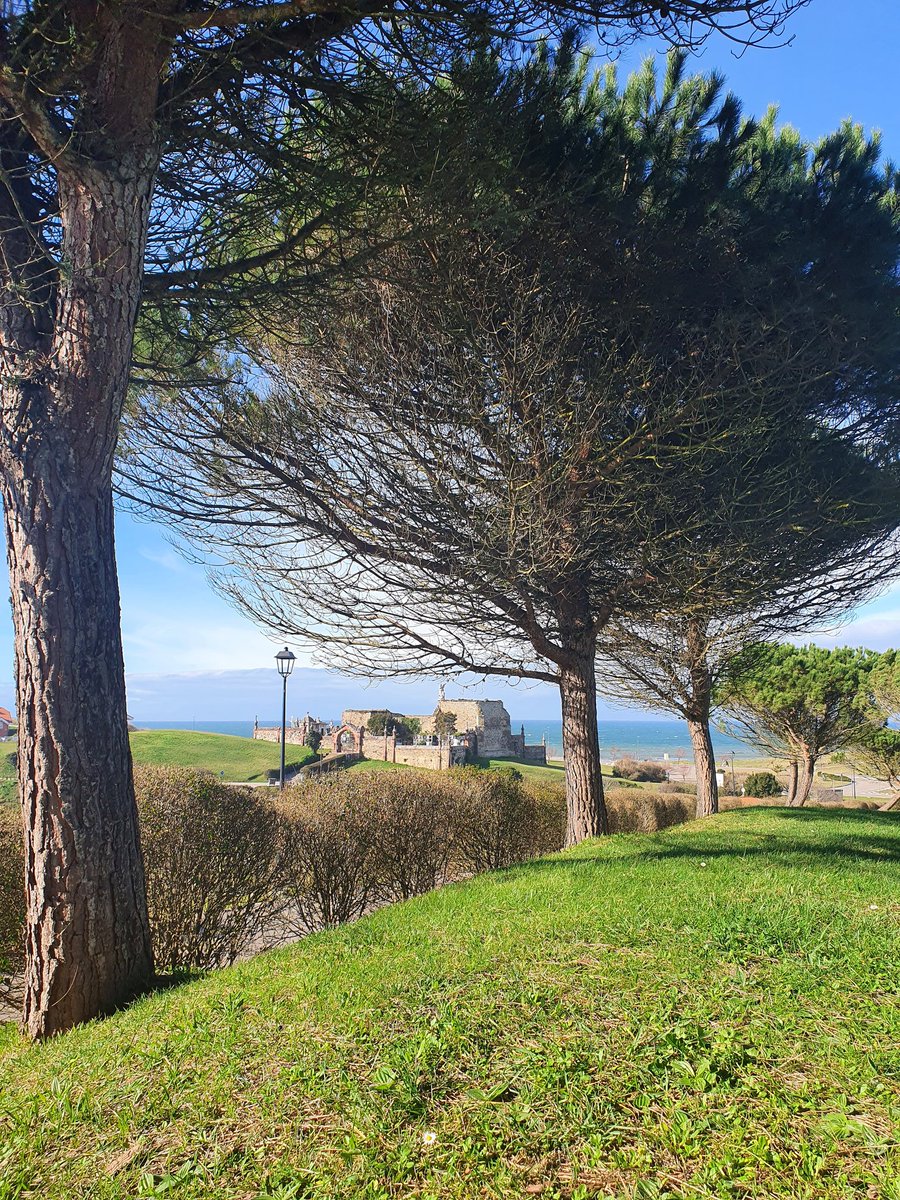 #BuenosDías☀️ ¡¡Arrancó la semana con un tiempo estupendo!!

#ContigoEnComillas #RutaModernista #Cantabria 💚 #EspañaVerde 
#LunesAlSol #Calorcito 
#ComillasMasQueUnCapricho

📌 Cementerio de #Comillas