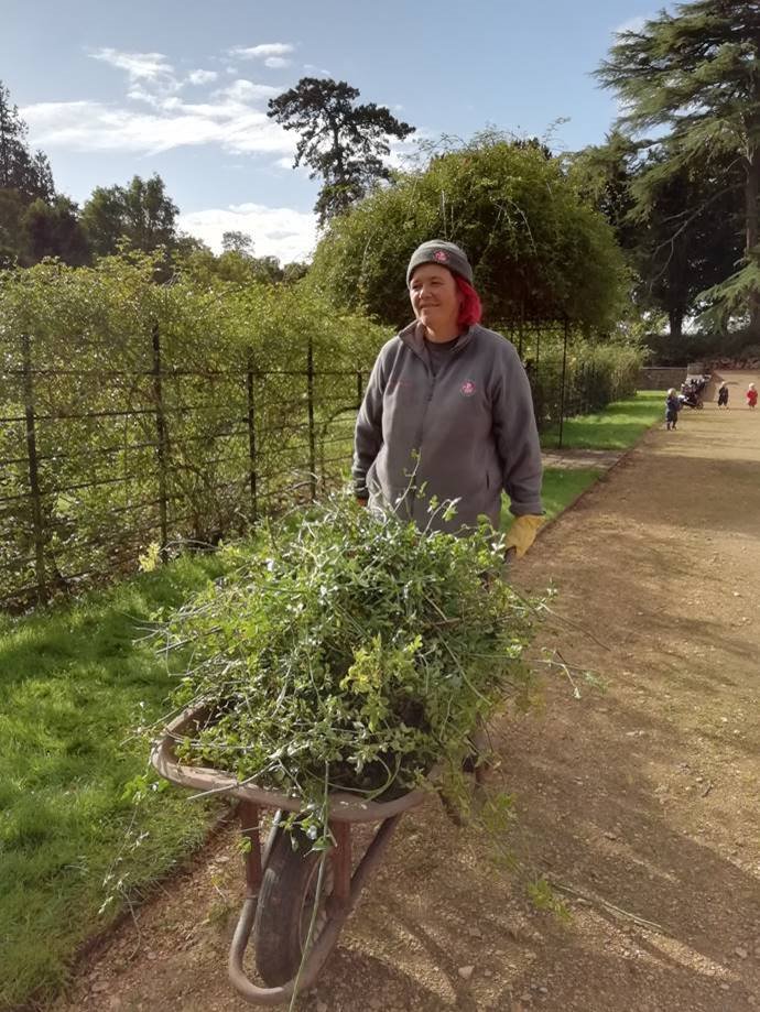 bristolparks's tweet photo. We’re carefully relaunching group volunteering in parks. If you’re working with a Friends group please follow our updated guidance (https://t.co/CUyjJSdBCl) and stay safe. Enjoy getting back out there! #mondaymotivation #covidsafe #candobristol #bestofbristol #bristollive #b247 https://t.co/R22rLIXIba