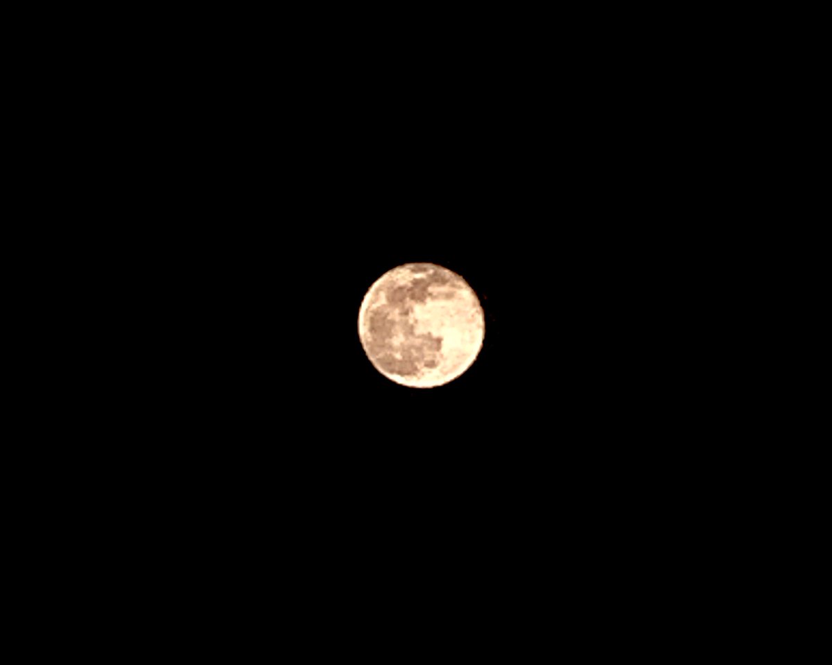 今夜の東京タワー🗼は満月バージョン✨

東京タワー🗼と桜🌸と満月🌕
贅沢な夜です☺️✋🏻

鯉のぼり🎏と満月🌕も👍🏻

#東京タワー 
#満月 
#ワームムーン 
#東京タワーと桜と満月
