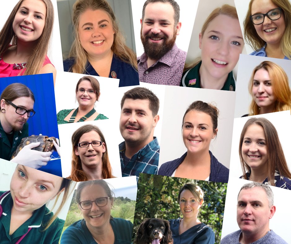 BVNA President tweet media