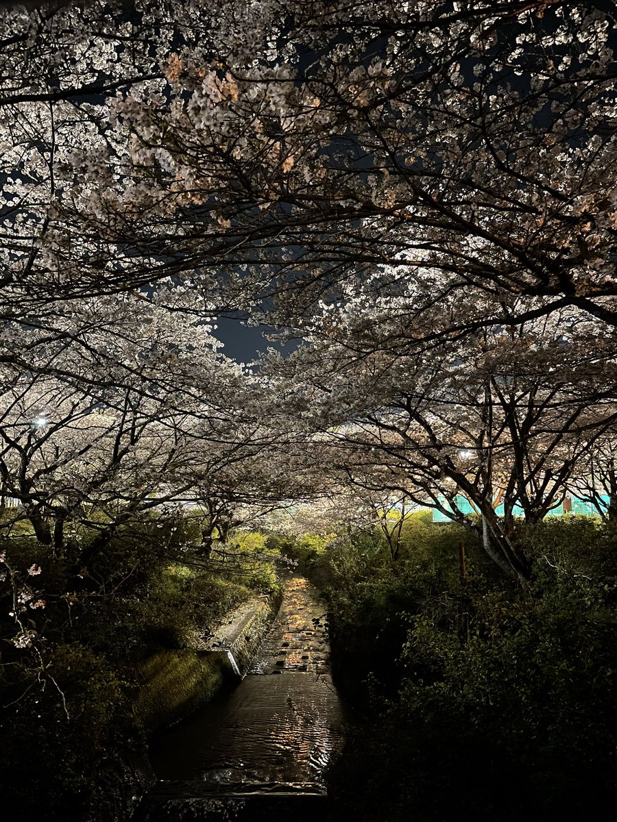 ko_mori4 tweet media