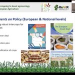 Photo by Remix Intercrops (@RemixIntercrops)