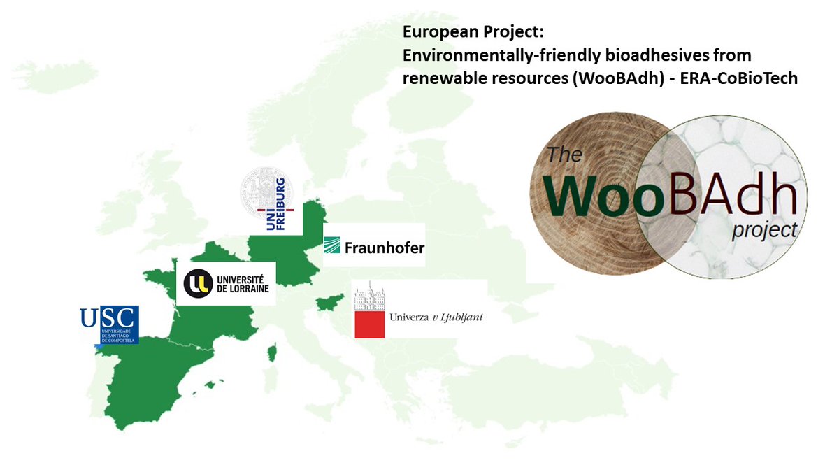 woobadh's tweet photo. Some pictures of the last WooBAdh project meeting ... https://t.co/sFLrQfarXX