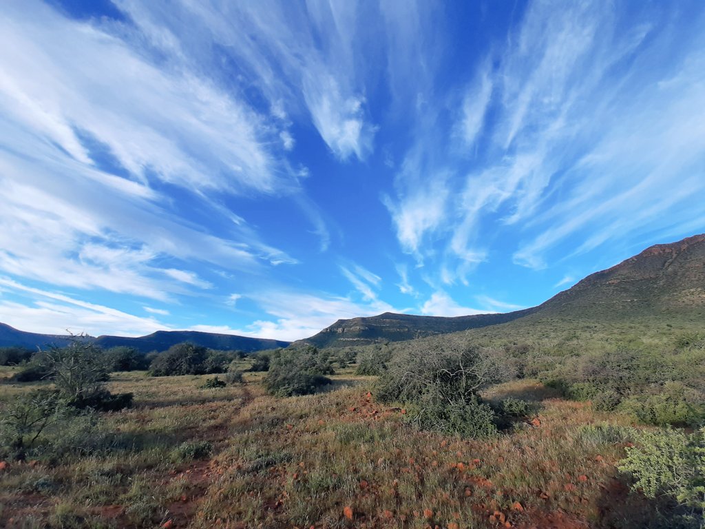 I've fallen in love with the serenity and beauty of big sky country at <a href="/SamaraKaroo/">Samara Karoo Reserve</a>, a very special and unique private game reserve with a phenomenal conservation ethos. 👏 #SamaraKaroo #DareToRewild #SafariForTheSoul #travelwriter #ecotraveldiaries #greatkaroo