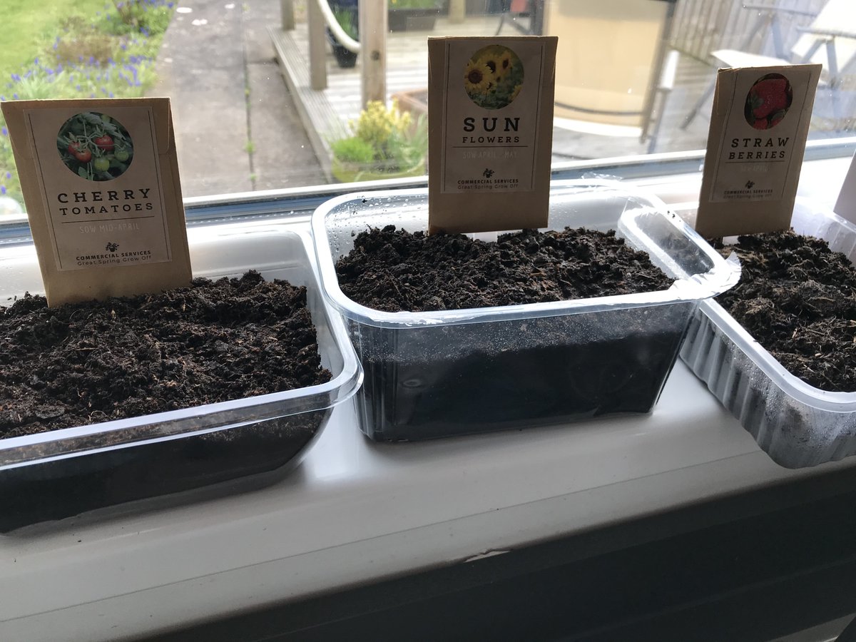 CardiffMetConf's tweet photo. @CMetSEngagement @CMUCatering @cardiffmet @PrintStudioCDF Someone in the Conference Team is keen, seeds in already #WatchThisSpace #CSGreatSpringGrowOff https://t.co/ezuCztjaqn