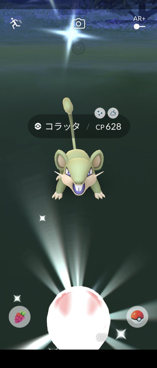ポケモンgo コラッタ アローラ の色違い 入手方法と実装状況 攻略大百科