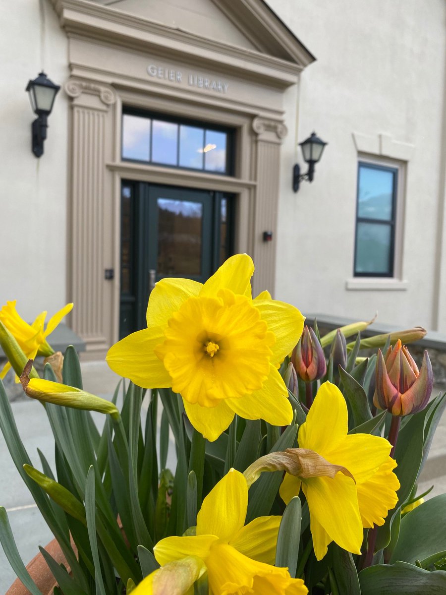 GeierLibrary's tweet photo. Welcome back, Bears!  @BerkshireSchool #spring https://t.co/qg78is69cI