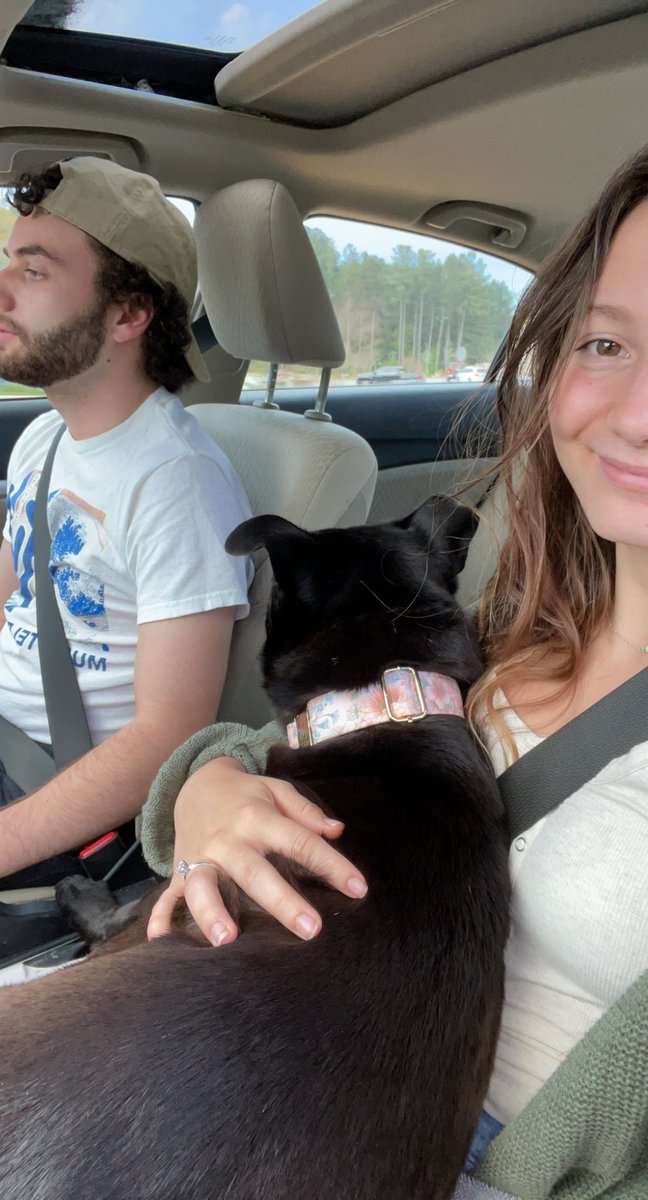 _KristinMartin's tweet photo. our sweet family! noah &amp; I added 4 sweet paws to our lives! everyone, meet Lola! https://t.co/lT3OthF9Gl