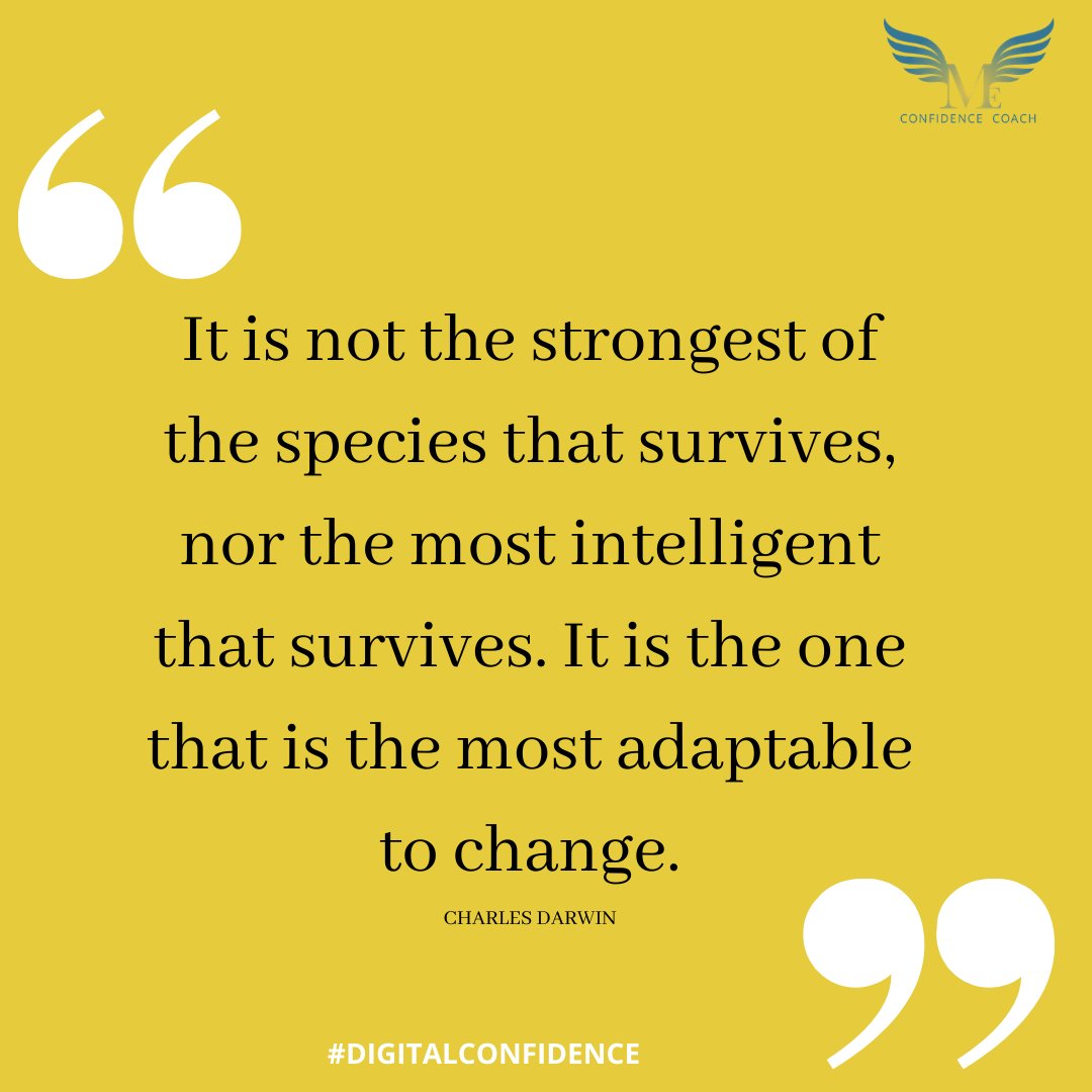 MCE Consult tweet media