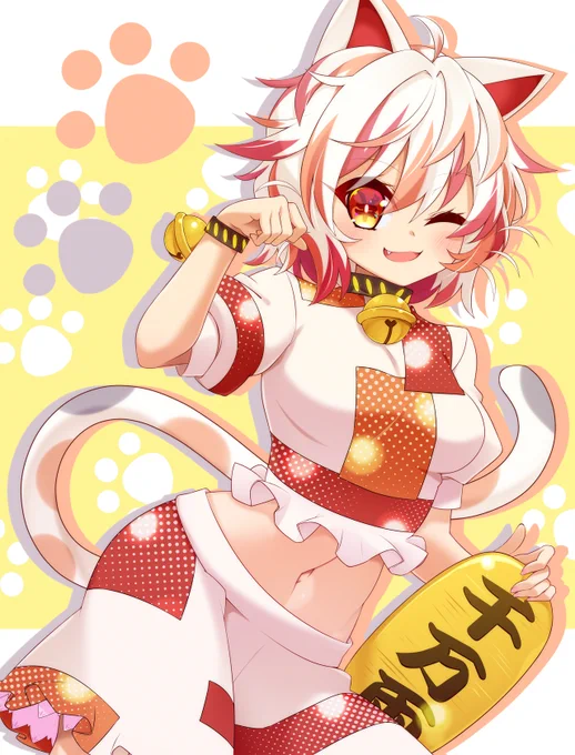新入り猫 