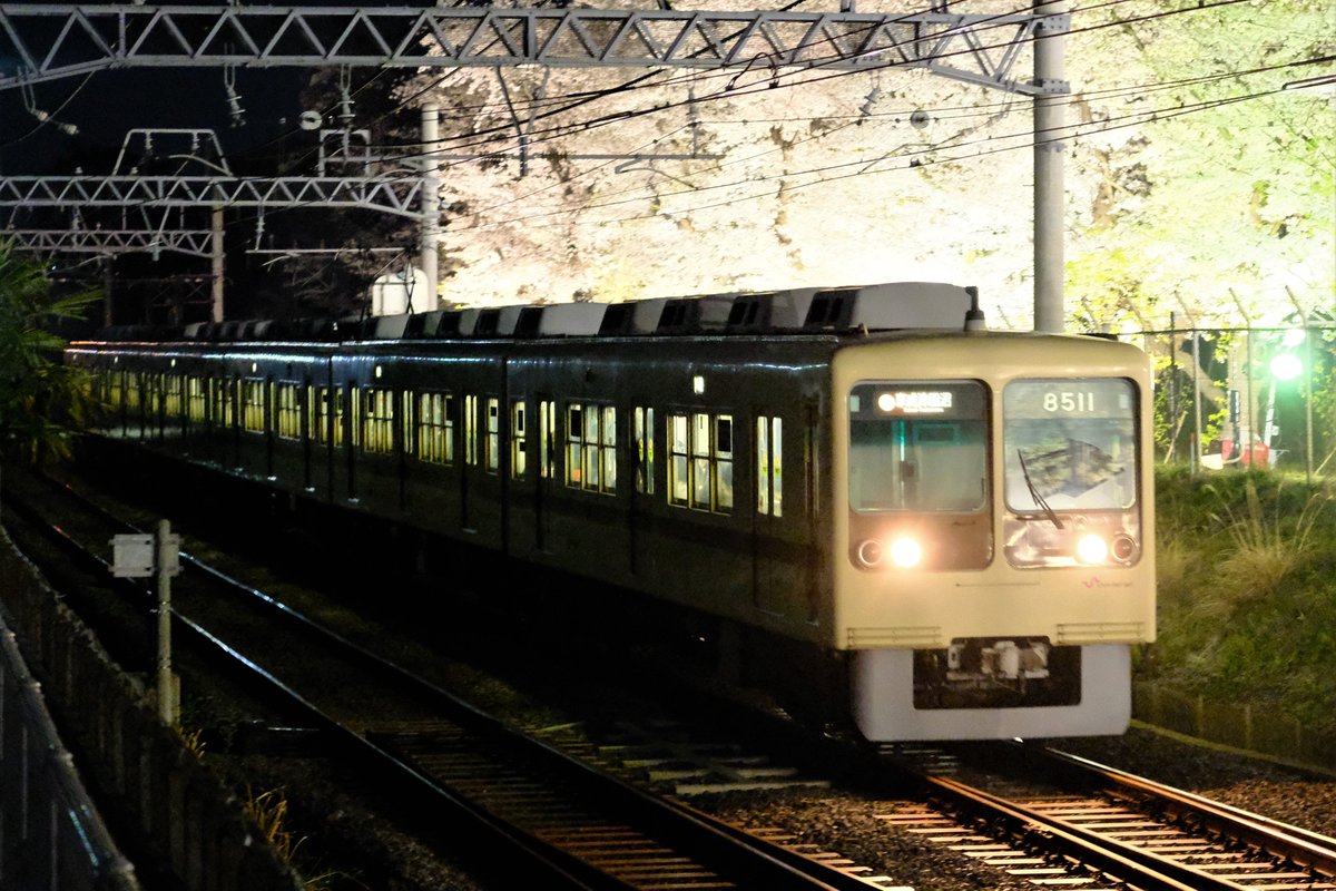 mtlove_800_andd's tweet photo. 2021年3月29日(月)の新京成電車撮影記録
復活塗装の8000形が、25日(木)に続いてまた、終日運用に入っていたので、撮影しに行って来ました。
今回は、京成電鉄3600形のリバイバル編成との並びも、見ることが出来ました。
45レ、73レ、127レ
#8512F
#新京成電鉄8000形
#新京成電鉄 https://t.co/lt24LJqjIM