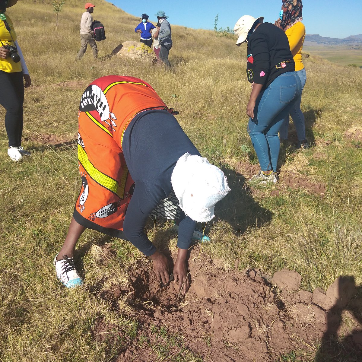 Ministry of Forestry Range and Soil Conservation tweet media