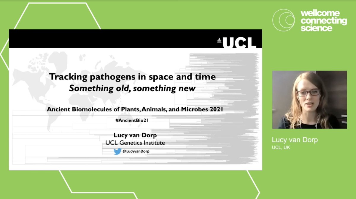 eanelson42's tweet photo. Kicking off #AncientBio21 with keynote speaker @LucyvanDorp discussing pathogens in space in time. #ancientpathogens #infectiousdisease #aDNA https://t.co/6jRGc104UN