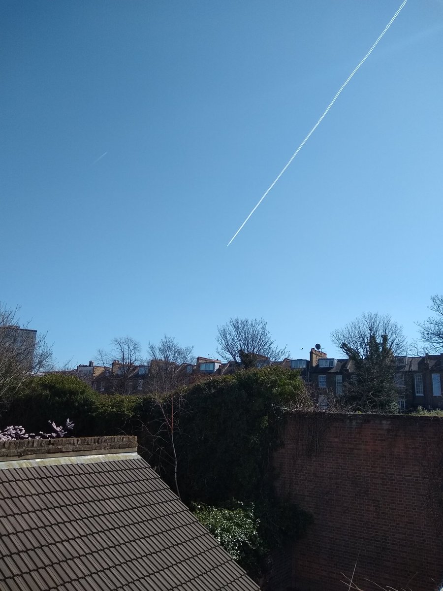 FRMSarah's tweet photo. Lunchtime sunlight! Spring is looking good so far ☀️☀️☀️ https://t.co/nJFGAZgqQu