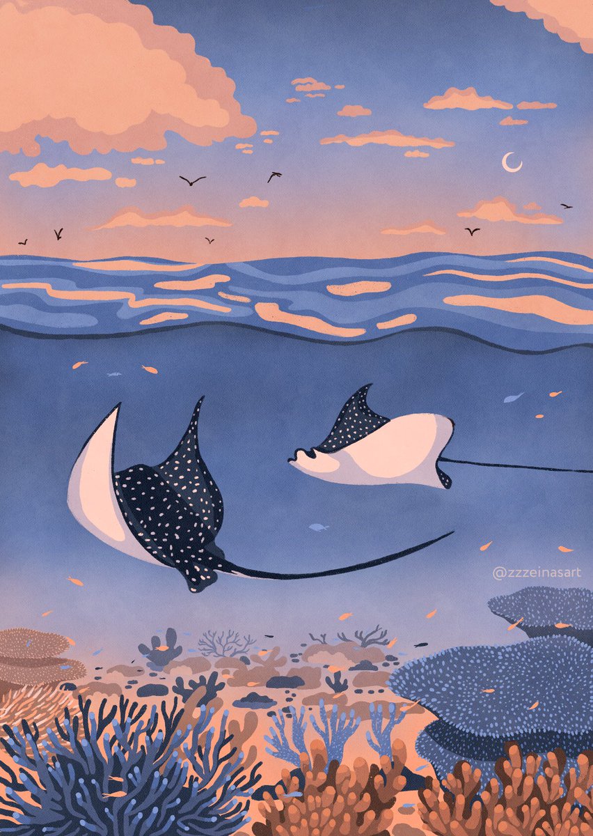studioskysi's tweet photo. Hello! My name is Zeina, from the Maldives. My work is inspired by our nature and wildlife, especially marine animals and sunsets 🏝 #VisibleWomen #CloudArt https://t.co/zOegaYJDu5