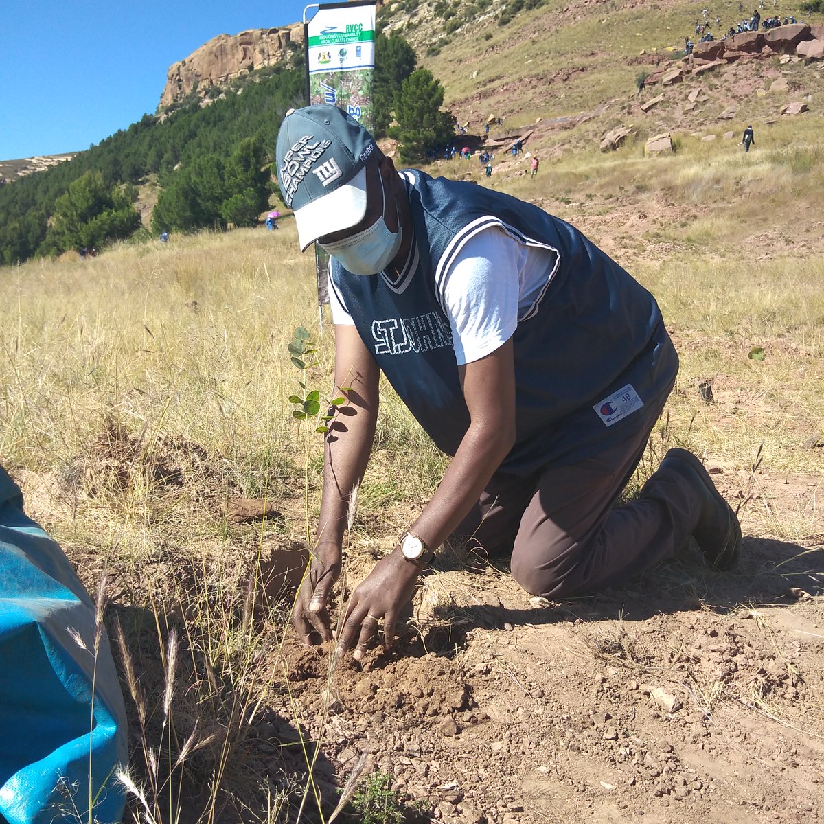 Ministry of Forestry Range and Soil Conservation tweet media